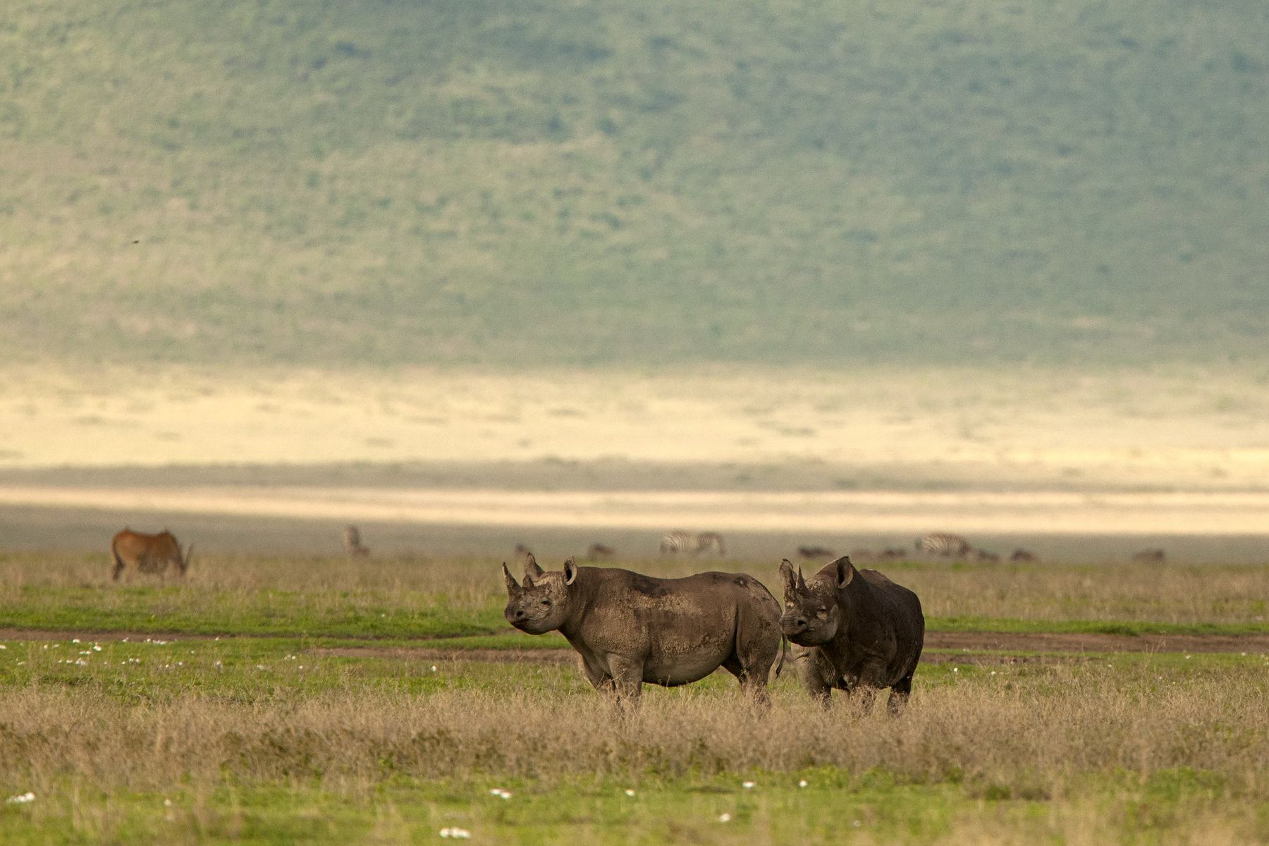 Ngorongoro Crater3