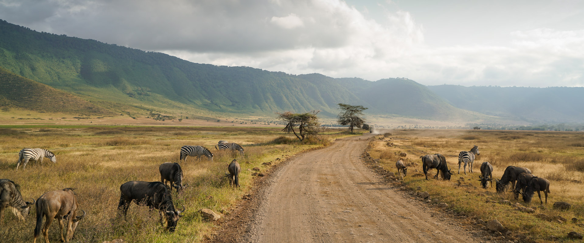 tanzania-day-trips